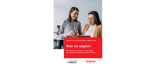 Titelbild der Publikation: "Mehr ist möglich".