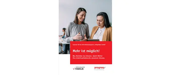 Titelbild der Publikation: "Mehr ist möglich".