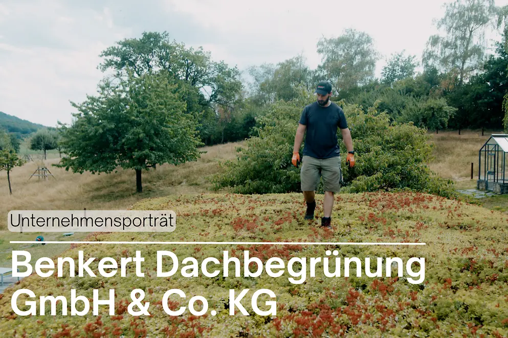 Mann läuft auf einem Dach. Im Hintergrund steht ein Gewächshaus.